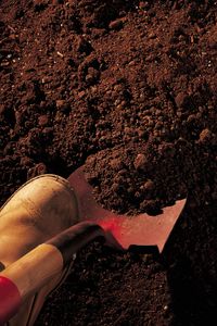 How to Get Through Hard Dirt & Roots. Various tasks -- from planting to installing a mail post -- require digging through dirt. Unfortunately, not all soil is soft and easy to dig. Digging through hard dirt and roots can be a difficult process when using normal gardening tools. Shovels do little to break up compacted and hard soil and merely nick...