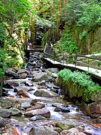 Flume Gorge is an Unrivaled Canyon Hike Right Here In New Hampshire