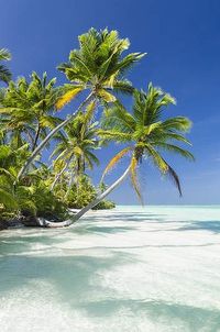 Cocos Islands, Costa Rica ~ untouched by civilization, great scuba diving/snorkeling