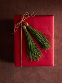 Even the smallest gift feels super special when you tie it with these easy-to-make pine needle tassels. All you need are pine needles and red twine.