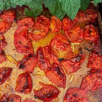 How to Roast Tomatoes in the Oven for Sauce or Toppings