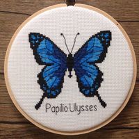 Ulyses Butterfly. A large swallowtail butterfly found in Australia. This PDF counted cross stitch pattern is available for instant download. Floss: DMC Fabric: 18 count Aida Area of embroidered image: 9 x 9 cm (4" X 4") Approx * This listing is for a PDF file for a pattern, NOT a finished/physical product. With purchase, you'll receive a download link to a PDF pattern that includes: - Cover page with image - Full colour chart with symbols - Black & white chart with symbols - DMC floss legend (al