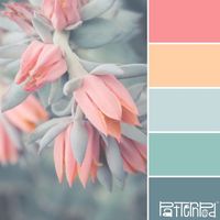 Blushing blooms #patternpod #patternpodcolor #color