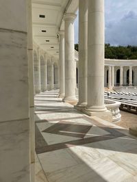 Arlington, Arlington national cemetery, flowers, garden, history, historical beauty, travel, solo travel, female traveler, washington dc