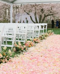 Gorgeous aisle.... if I can afford that many flowers! LOL (from The Knot Dream Wedding)