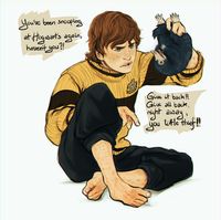 Image result for hufflepuff pride