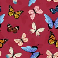 Half metre of these intricately detailed butterflies on a beautiful warm red background. This comes from Clothworks Canto range. Each half metre measures approximately 50cm x 110cm. If you order more than 1 half metre the fabric will be cut as a continuous length. For further information please refer to our FAQs 100% premium quality cotton.