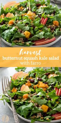 Harvest Butternut Squash Kale Salad with Farro is a hearty fall salad tossed in a sweet, tangy apple cider dijon dressing! via @FlavortheMoment #ad #earthboundfarm #organic #salad #butternutsquash #kale #harvest #autumn #recipes #vegan #veganrecipes