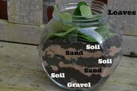 Easy instructions on how to make your own wormery, all you need is an old jar, sand, gravel, soil, leaves and some worms.