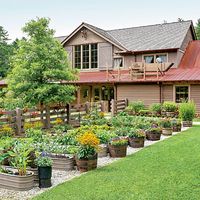 Love this container garden