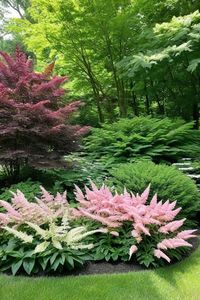 10 Best Shade Plants For Zone 8