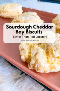 Looking for a delicious twist on classic biscuits? Our sourdough cheddar bay biscuits are the answer! With a cheesy, flaky texture, they're a hit at any gathering. Get the recipe here! #SourdoughBiscuits #CheddarCheese #EasyRecipes