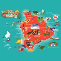 The 40 best Big Island Hawaii things to do, from your original Host of Hawaii, Hawaiian Host. Unlock our local’s guide to the top 40 things to do in Big Island Hawaii. See volcanoes, go horseback riding, dive with manta rays, and so much more. #bigisland #hawaii #hilo #kona  #itinerary #travel #tripideas Big Island itinerary, Big Island Hawaii things to do in, Big Island Hawaii secrets, Big Island hikes, Big Island things to see, Big Island things to do, Big Island things to do map