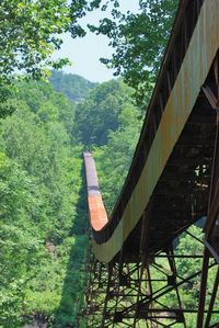 Travel | West Virginia | USA | Abandoned | Trails | Hikes | Unusual | Exploring