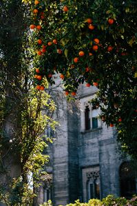 Hearst Castle – San Simeon, California