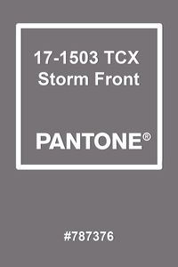 Pantone Storm Front