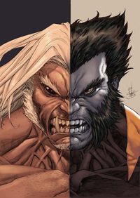 Wolverine vs Sabretooth