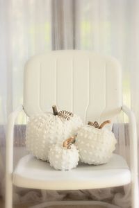 White Chenille pumpkins