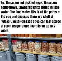 How to Store Eggs? (lime water preservation method)