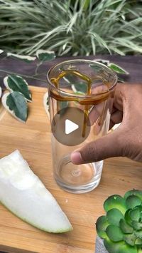 Kenneth Gopinath on Instagram: "Super amazing and super healthy Ash Gourd Juice!!!😍
Works magical for Cancer, brain and over all health
A must add on into your daily routine start you day with ash gourd juice and you will see the drastic results.

Recipe;
Ash gourd - about 2 cups
Water - 1/4cup (optional)
Salt - 3pinches
Lime - half
Honey - 1tbsp

[healthy, sadhguru, Sathvik foods, cancer, healthy, healing, superfood, ash gourd juice, health, science, recipe, intellectual health, scientific, viral,MasterChef]

#sadhguru #saathvik #recipe #anticancerous #viral #recipe #masterchef #superfood #masterchefindia 

Is this a part of your daily routine"