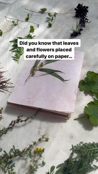 I love eco-printing on paper for so many reasons, here’s just 3 of them: 🌿 You can try most types of plants and paper, and something will happen. 🌿 If you aren’t using a mordant, it can safely be done with even the tiniest helper (although you need extra patience for that 🙃) 🌿 You can be more playful than with eco-printing or natural dyeing on clothing, because the results don’t need to be as washfast and lightfast - you won’t be washing the paper regularly or taking it out in the sun for extended periods. 🌸 I’ve created a free mini book about ‘Paper Eco-Print Projects’, with 3 tutorials for you to try and some examples of plants I love using on paper. Click on the link to get it 😊💗