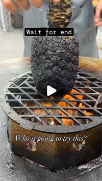 Rachel Enright on Instagram: "🍍pineapple contains bromelain which has great antiinflammatory benefits  🍍you can add liquor, or vanilla, or chili, or coconut sugar or salt flakes. Depending on the flavor you want  🍍grilled pineapple can be added to your next social bbq   🍍👉🏼📽️ @catering_spice"