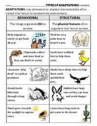 Behavioral and Structural (Physical)... by Scienceisfun | Teachers Pay Teachers