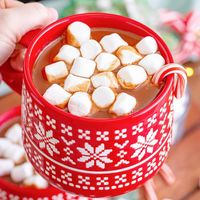 Crock Pot Hot Chocolate (+Video)