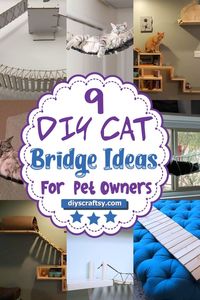 Here we come with this list of free and easy-to-make DIY cat bridge ideas to help your feline friend wander around the home and have fun playing, plus making cutie mischiefs all day. #diy #diycraft #diycat #diycatbridge #diycatbridgeideas