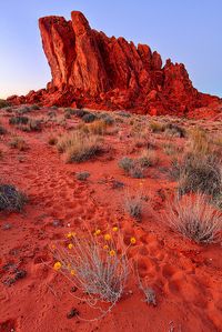 Valley of Fire State Park, Nevada. Unbelievable impressions. Loved spending time there!