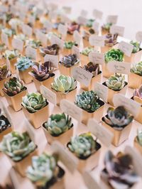 Arrange a vast selection of tiny succulents for guests to choose from for a rustic wedding favor that doubles as an escort "card".