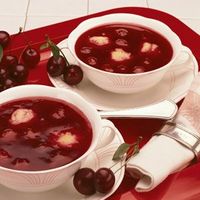 Cherry Soup with Cream of Wheat Dumplings – Germanfoods.org