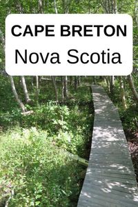 Boardwalk through the forest in Cape Breton Nova Scotia Canada. Road trip with hiking trails and beaches for a great Canadian summer vacation.