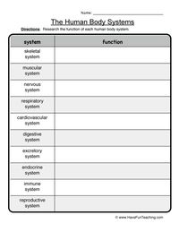 Human Body Systems Worksheet