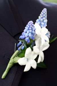 Double stephanotis and blue muscari groom's bouonniere. #blueboutonniere #muscariboutonniere #stephanotisboutonniere #bluewedding #elegantwedding