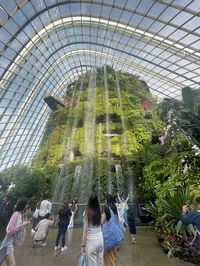 #waterfall #singapore #summer #gardensbythebay #cloudforest #aesthetic #trend