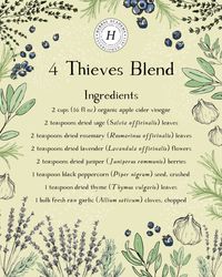 How to Make and Use the Legendary Four Thieves Vinegar Blend