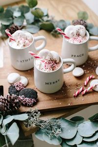 This Boozy Peppermint Hot Chocolate Is Sugar, Spice, & Everything Nice - Camille Styles