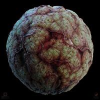 ArtStation - Parasitic Skin Tissue, Daniel Thiger