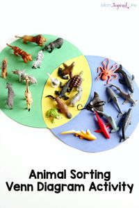 Animal sorting activity on a venn diagram. A hands-on way to learn about animal habitats and practice sorting.