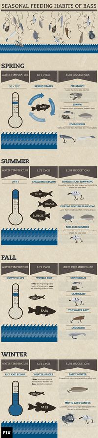 Bass Fishing by Season | Fix.com