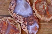 How To Polish Petrified Wood Without a Tumbler (Step-By-Step Guide) - Rock Seeker