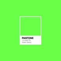 #GreenGecko by #Pantone #Pinfabcolours