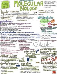 #biology #Notes