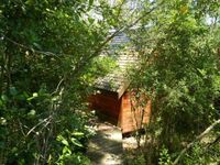 GREEN SPOTLIGHT ON FERN GULLY FOREST CABINS - Green Family Guide