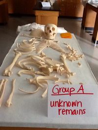 Spooky Science~ Interactive and Engaging Activities for Halloween | Edgy Instruction with DrM