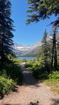 #montana #glaciernationalpark