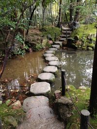 Stone pathway water outdoors nature trees woods path stones