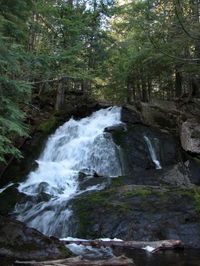 Alder Falls