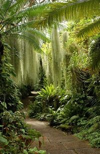 Beautiful, gorgeous garden path thru a garden with Spanish Moss hanging down from the trees. This garden is probably located in the South, where the Spanish Moss is so prevalent. Love love love love LOVE!!!